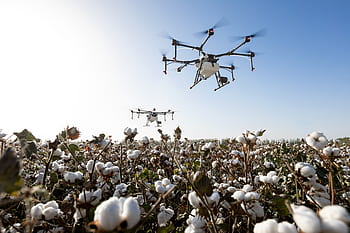 dji, dji zemědělství, agras, zemědělství, trubec, uav, mg-lp, zemědělské půdy, drone na ochranu rostlin, ochrany rostlin, extrémně létat
