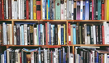 knih, knihovna, police, obchod, literatura, čtení, román, Dějiny, gramatika, studie, Učit se