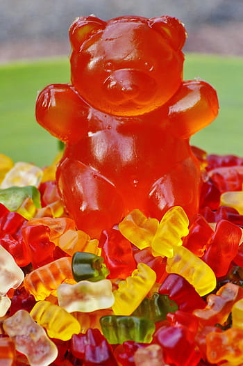 gummibärchen, obří gumový medvěd, gummibär, ovocné žvýkačky, medvěd, Lahodné, barva, barvitý, sladkost, gummi medvědi, haribo