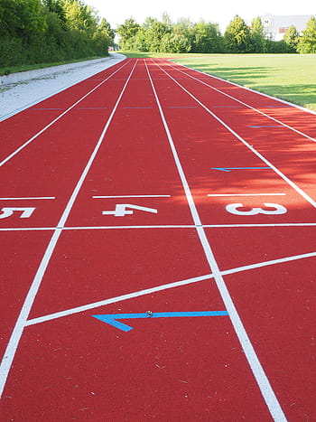 červená běžecká dráha, startér, kariéra, startovní blok, čísla, tartanová dráha, přistávací dráha, atletika, běh, závod, sport
