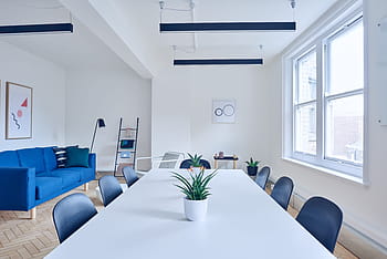 tømme, rom, hvit, tre, lang, bord, blå, ruskind 3-seter sofa, 3-sete, spisebord, stoler