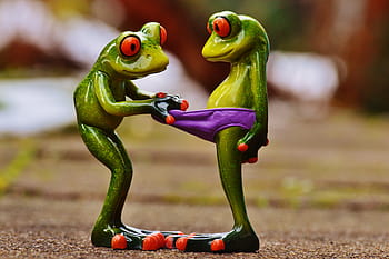 two, red-eyed tree frogs, frogs, curious, funny, figures, cute, underpants, look, fun, curiosity