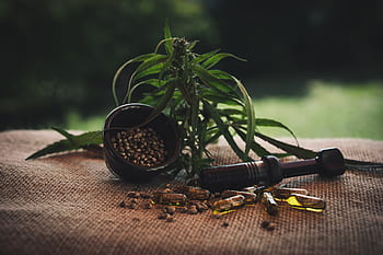 cbd öl, cbd olej, olej, cbd, superfood, kanabidiol, konopí, plevel, zdraví, hanf
