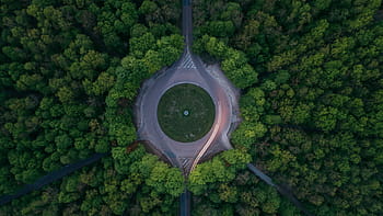 letecký, fotografování, kulaté silnici, obklopen, stromy, během dne, zelená, rostlina, Příroda, les, Pohled