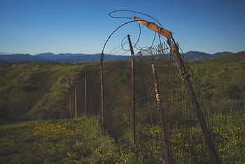 krajinářské fotografie, zelená, travnaté hřiště, plot, náklon, posun, objektiv, fotografování, zrezivělý, kov, pošta