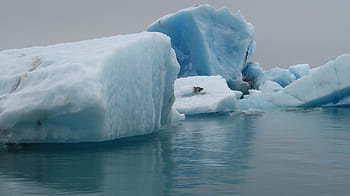Island, ledovec, Studený, ledová modř, led, modrý, arktický, islandský, voda, glaciální, jezero