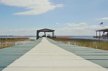 white, grey, wooden, dock, brown, green, board, walk, path, cottage, lake