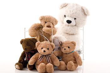 assortiti dimensioni, bianca, Marrone, orsacchiotto, orsi, orso, peluche, collezione, famiglia, gruppo, alcune