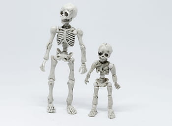 show, člověk, figurka, postava, muž, Věda, kyborg, robot, kostra, charakter, figuríny