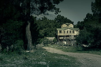 fotografie, dřevěný, Dům, obklopen, stromy, strašidelný, temný, předvečer Všech svatých, strašidelný dům, starý, děsivé