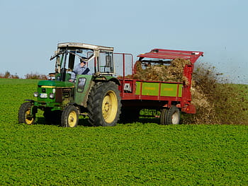 osoba, jezdectví, zemědělský traktor, házení, půda, pole, zemědělství, traktor, oplodnit, blbost, hnůj