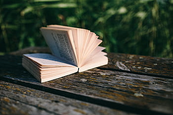 verão, descansando, livro, relaxante, tempo, livro de leitura, noite, hora mágica, livro aberto, Leitura, lago