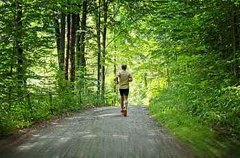 muž běhání, střední, les, běh, jog, sport, volný čas, sportovní, zdravý, běhání, výcvik
