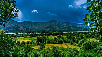 zelené stromy, fotografování, zelená, kopců, krajina, Příroda, pole, hospodařit, hora, jezero, voda