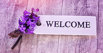 violet, jacinthe, à côté de, Bienvenue, signalisation, enseigne, fleur, fleur parfumée, parfumé, fleur de printemps, bouclier