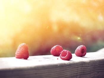 vier Himbeerfrüchte, rot, Früchte, braun, Oberfläche, Himbeeren, Sonnenschein, keine Leute, kalte Temperatur, Natur, draußen