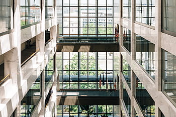 bandiere all'interno dell'edificio, architettura, costruzione, infrastruttura, interno, bandiere, finestra, vetro - materiale, moderno, struttura costruita, edificio per uffici