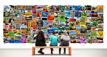 tři, osoba, sedící, hnědý, dřevěný, lavice, galerie, obrázky kolekce, fotky, směs, umění