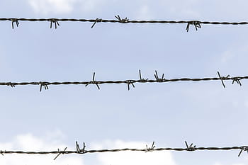 Foto barbwire a 3 strati, strato, filo spinato, foto, urbano, pigro, acuto, recinto, cielo, blu, spinato