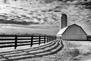 grayscale photo, barn, cloudy, sky, daytime, monochrome, scenery, landscape, classic, country, rural