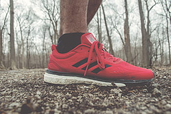 osoba, Červené, adidas low-top tenisky, tenisky, běh, obuv, běžecké boty, venkovní, boty, sport, venku