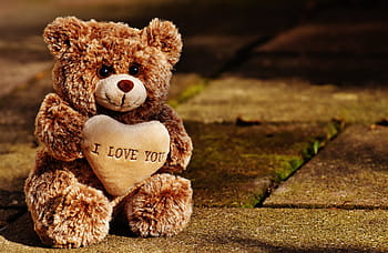 brown, bear, plush, toy, concrete, floor, love, teddy, bears, cute, stuffed animal