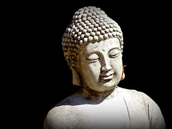 bílý, beton, socha Buddhy, Buddha, zen, rozjímání, socha, tvář, klid, relaxace, moudrost