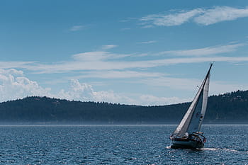 blu, bianca, barca a vela, corpo, acqua, giorno, foto, lago, alberi, cielo, luce del sole
