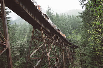 train railway bridge, ground, metal, steel, architecture, bridge, train, transportation, railway, track, trees