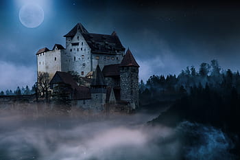Schloss, Nacht-, Mond, Himmel, Nebel, Fantasie, geheimnisvoll, Bäume