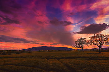 grass field, trees, mountain, landscape, photography, silouhette, sunset, dark, clouds, field, farm