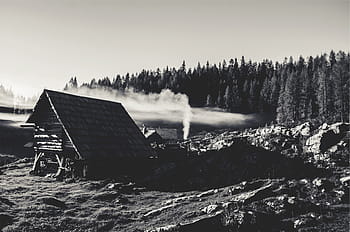 fotografie ve stupních šedi, Dům, stromy, nebe, ve stupních šedi, vedle, venkovský, les, skály, chaty, domy