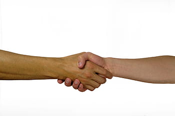 shaking hands, hands, welcome, greeting, hand, contract, agree, unity, promise, handshake, contact