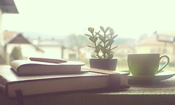 бял, керамичен, чаша за чай, до, растение, купчина, книги, кафе, тетрадка, дървен, заден план