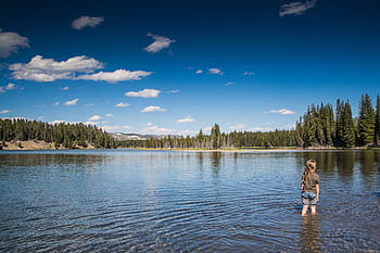 pequeño, niño, lago, Estados Unidos, nubes, bosque, naturaleza, agua, al aire libre, cielo, paisaje