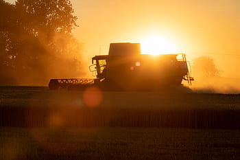 combine harvester, harvest, cereals, field, sunset, agriculture, wheat, rural, grain, tractor, agricultural machine