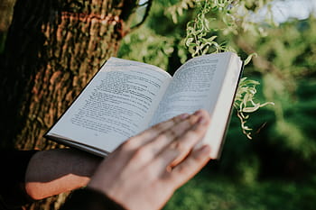 男の読書、 本、 アウトドア、 男、 読書、 手、 屋外、 外、 日当たりの良い、 文学、 聖書