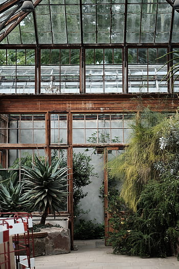 indoor garden interior, greenhouse, structure, plants, nature, garden, trees, architecture, built Structure