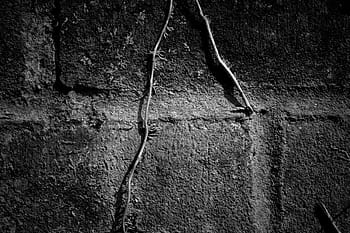 brick wall, ivy, growing, centre, Close-up shot, textures, wall, backgrounds, black And White, old, abstract