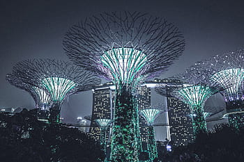 architectural, structures in, structures  in singapore, Buildings, structures, Singapore, architecture, city, night, illuminated, lighting Equipment