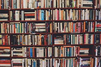 shelves, library, Books, various, book, bookshelf, shelf, literature, education, no People, indoors