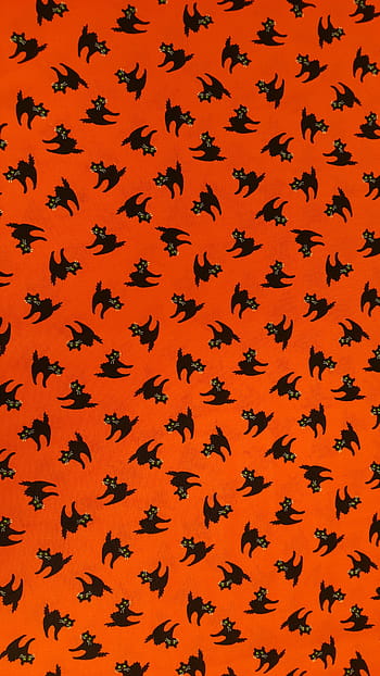 oranssi, tausta, kissa-painettu tekstiili, kissat, halloween, loma-, design, kauhu, syksy, musta, kurpitsa
