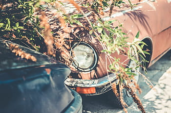 古い、 タイマー自動車、 放棄された、 さびた、 古いタイマー、 自動車、 悪い、 車、 ヘッドライト、 オールドタイマー、 輸送