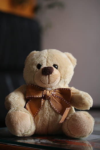 плюш, плюшено мече, сладък, играчка, кафяв