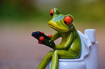 žába, figurka záchodové mísy, mobilní telefon, toaleta, legrační, zasedání, roztomilý