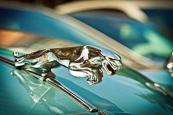 jaguar kapuce ornament, auto, jaguar xk, automobilového průmyslu, oldtimer, vozidlo, starý, klasický, staré auto, historicky, vinobraní