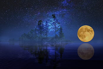 yellow, full-moon, trees, full moon, landscape, sea, lake, island, bank, reflections, night