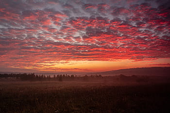 sunrise, sky, red, east, landscape, nature, in the morning, clouds, beautiful, the horizon