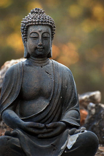 gautama socha Buddhy, zen, Buddha, odraz, jas, aura, mír, rozjímání, jóga, socha, obraz