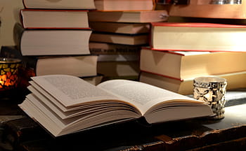 bílý, otevřeno, rezervovat, knih, číst, stránky knihy, literatura, studie, stránek, Procházet, listy